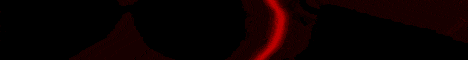 Banner 6