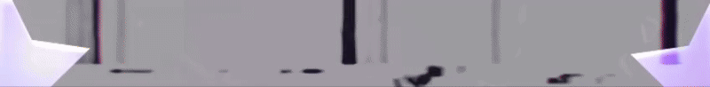 Banner 5
