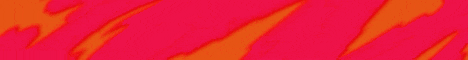 Banner 5