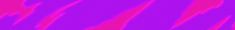 Banner 7