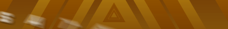 Banner 8